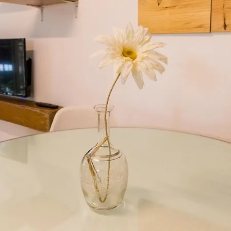 Apartment Gr0-quiet Apartment, Private Backyard, Walk To Old Town